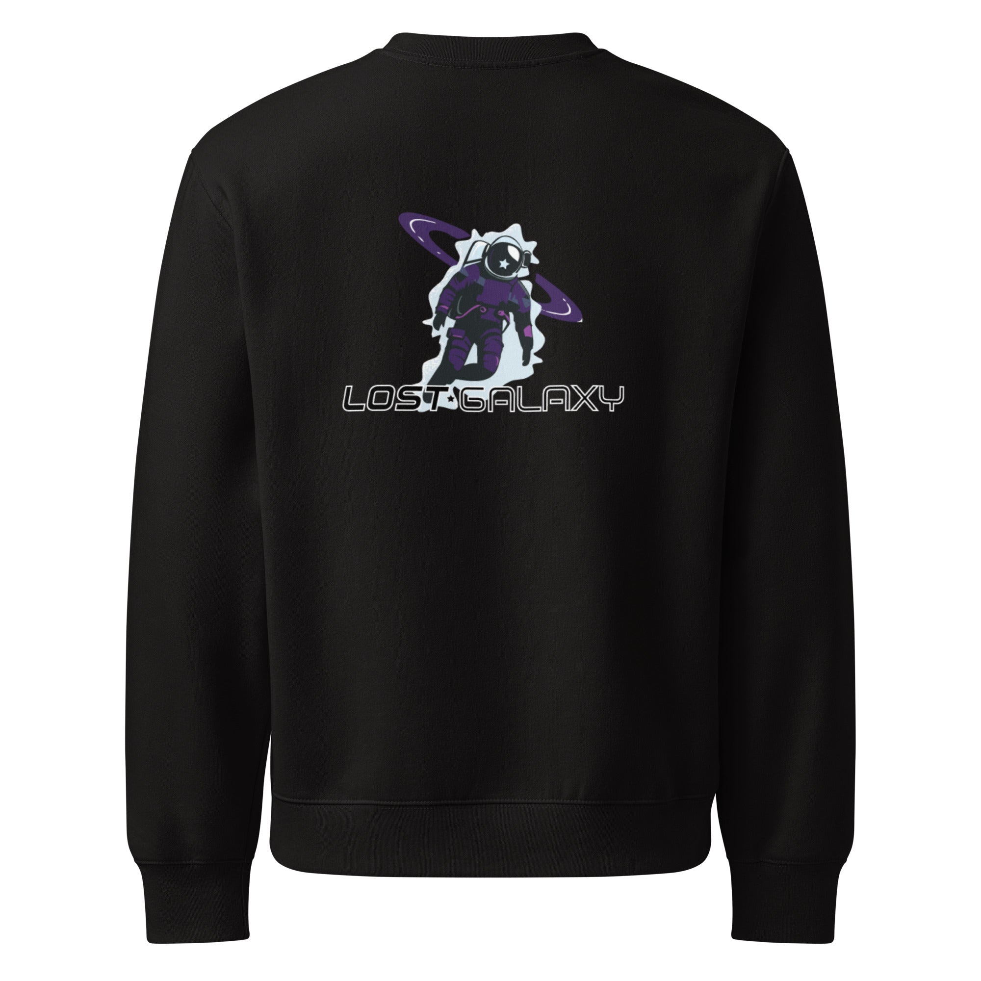 Oversized heavyweight sweatshirt – Lost Galaxy Candy